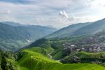  Photo Credit: Photo by Chopsticks on the Loose on Unsplash