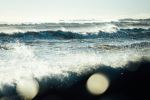 Lawrencetown beach - Photo Credit: Photo by Tim Foster on Unsplash