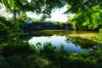 West Lake - Photo Credit: Photo by Alex Taylor on Unsplash