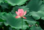 Photo Credit: Photo by Jinsheng Bian on Unsplash