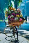  Photo Credit: Photo by Hai Tran on Unsplash