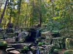 Garvan Woodland Gardens - Photo Credit: Photo by Yash Mannepalli on Unsplash
