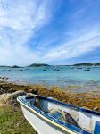 Tresco - Photo Credit: Photo by Jack Niles on Unsplash