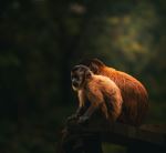  Photo Credit: Photo by Edson Junior on Unsplash