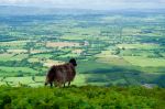 Strickeen Mountain - Photo Credit: Photo by Tim Wilson on Unsplash