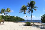 John Pennekamp Coral Reef State Park - Photo Credit: Photo by Emmanuelle Marcade on Unsplash