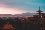  Photo Credit: Photo by Su San Lee on Unsplash