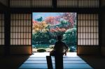  Photo Credit: Photo by Masaaki Komori on Unsplash