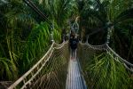 Canopy Walk - Photo Credit: Photo by Omotayo Tajudeen on Unsplash