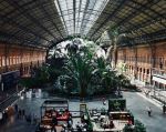 Botanical Garden in Madrid Atocha Train Statino - Photo Credit: Photo by MP on Unsplash