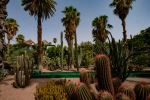 Giardini Majorelle - Photo Credit: Photo by Riccardo Monteleone on Unsplash