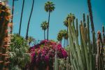  Photo Credit: Photo by Alex Plesovskich on Unsplash
