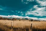  Photo Credit: Photo by Og Mpango on Unsplash