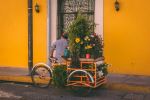  Photo Credit: Photo by Jorge Zapata on Unsplash