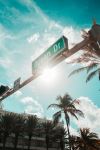  Photo Credit: Photo by Roland Denes on Unsplash