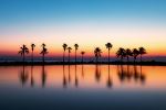  Photo Credit: Photo by Rolando Yera on Unsplash