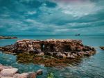  Photo Credit: Photo by necim bm on Unsplash