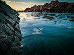  Photo Credit: Photo by Trey Smith on Unsplash