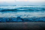  Photo Credit: Photo by James Coleman on Unsplash