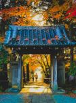  Photo Credit: Photo by Ashirani Murata on Unsplash