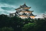  Photo Credit: Photo by Tim D on Unsplash