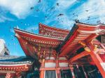  Photo Credit: Photo by Goh Win Nie on Unsplash