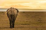  Photo Credit: Photo by Cody McLain on Unsplash
