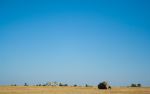  Photo Credit: Photo by Timothy K on Unsplash