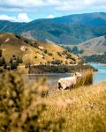  Photo Credit: Photo by Mark de Jong on Unsplash