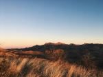  Photo Credit: Photo by Brandon Davis on Unsplash
