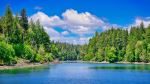 Woodard Bay Conservation Area - Photo Credit: Photo by Townsend Walton on Unsplash