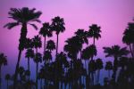  Photo Credit: Photo by Tim Mossholder on Unsplash