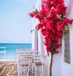  Photo Credit: Photo by Michail Tsapas on Unsplash
