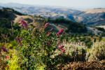  Photo Credit: Photo by Scott Kessler on Unsplash