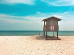  Photo Credit: Photo by Bill Alexy on Unsplash
