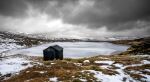 Photo Credit: Photo by martin bennie on Unsplash