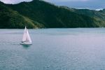  Photo Credit: Photo by Adana Hulett on Unsplash