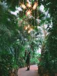 Phipps Conservatory and Botanical Gardens - Photo Credit: Photo by Ace Vu on Unsplash