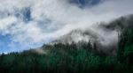  Photo Credit: Photo by Cory Schadt on Unsplash