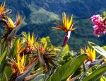  Photo Credit: Photo by Laurence FUSCO on Unsplash