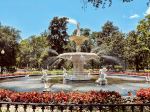 Forsyth Park - Photo Credit: Photo by Philip Arambula on Unsplash