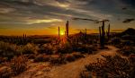  Photo Credit: Photo by Robert Murray on Unsplash