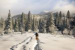  Photo Credit: Photo by Chris Holder on Unsplash