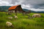  Photo Credit: Photo by Mick Haupt on Unsplash