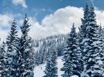  Photo Credit: Photo by Sean Kelley on Unsplash