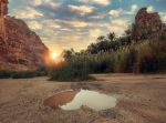  Photo Credit: Photo by SALEH on Unsplash