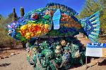 Tucson Botanical Gardens - Photo Credit: Photo by Jeffrey Eisen on Unsplash