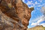 Sabino Canyon Recreation Area - Photo Credit: Photo by Jeffrey Eisen on Unsplash