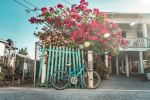  Photo Credit: Photo by Héctor Emilio Gonzalez on Unsplash