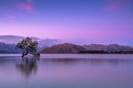  Photo Credit: Photo by Ken Cheung on Unsplash